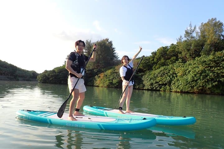 Hidden Jungle Mangrove SUP in Miyakojima (English tour) — photo 2