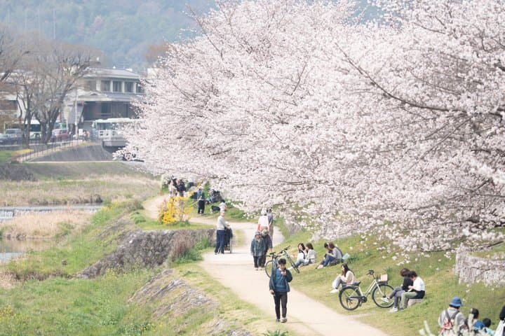 Photo bike Tour for family and couple — photo 8