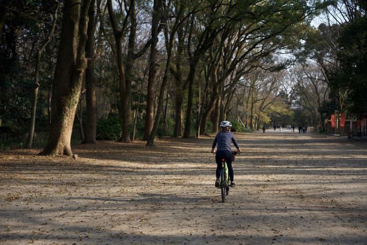 Photo bike Tour for family and couple — photo 9