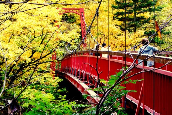 Sapporo Jyozankei Private Complete Tour Summer and Autumn — photo 15