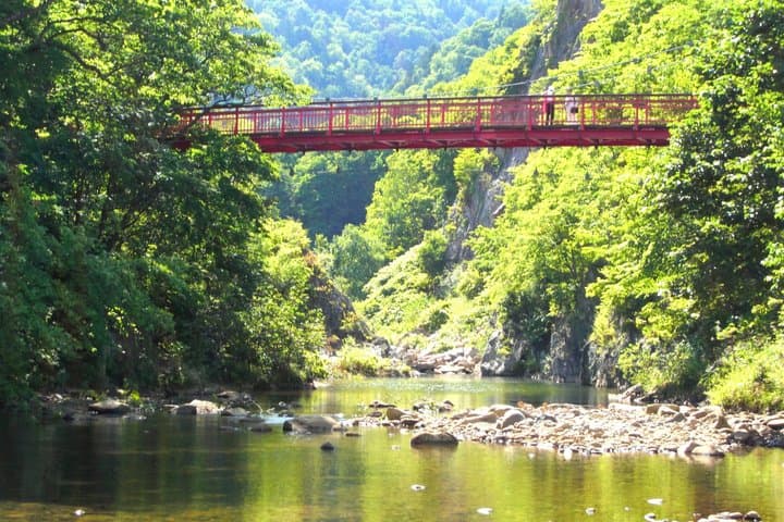 Sapporo Jyozankei Private Complete Tour Summer and Autumn — photo 13
