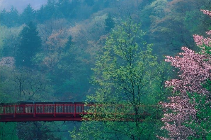 Sapporo Jyozankei Private Complete Tour Summer and Autumn — photo 12