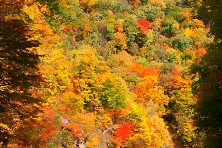 Sapporo Jyozankei Private Complete Tour Summer and Autumn — photo 20