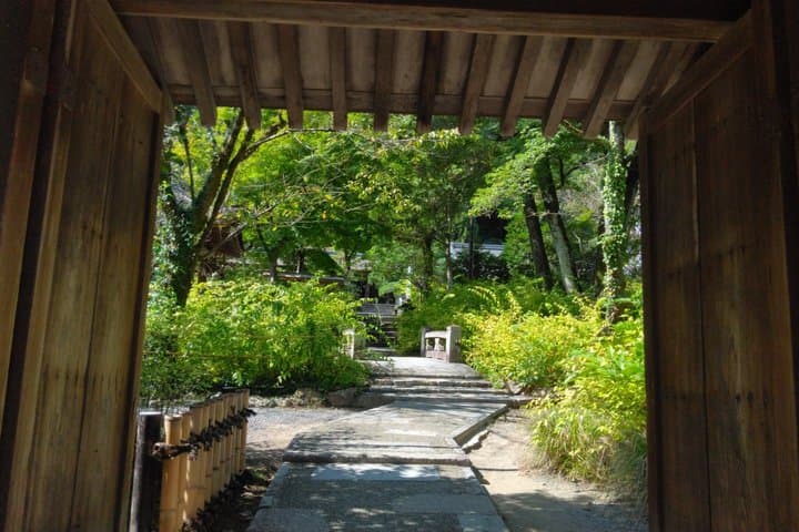 Explore a Hidden Bamboo Grove and Temple with a Kyoto-Local Guide — photo 10