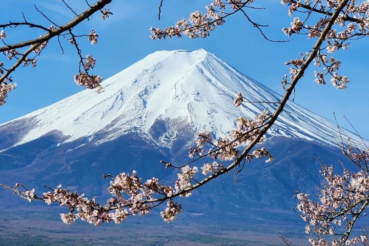 Private Tour of Mount Fuji with English speaking driver — photo 16