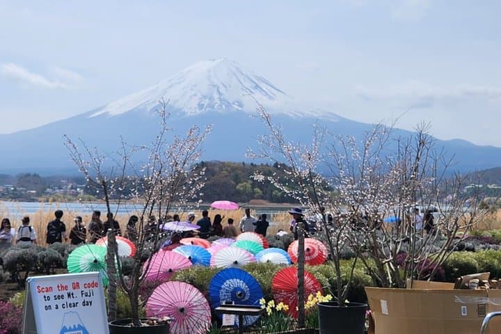 Private Tour of Mount Fuji with English speaking driver — photo 1