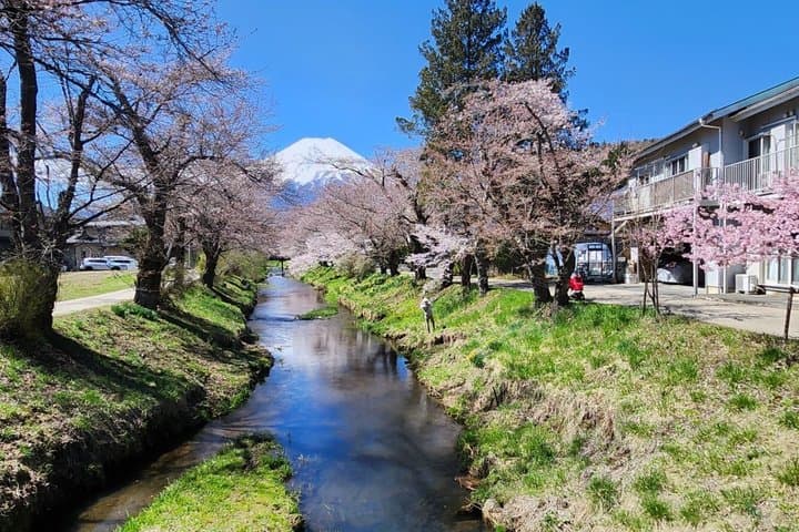Private Tour of Mount Fuji with English speaking driver — photo 11
