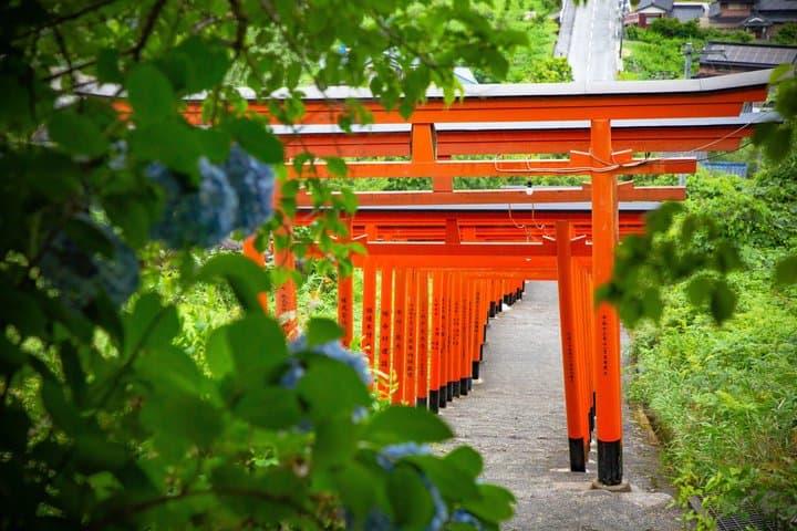 Yanagawa, Strawberry/Matcha Experience & Ukiha-Inari from Fukuoka — photo 7
