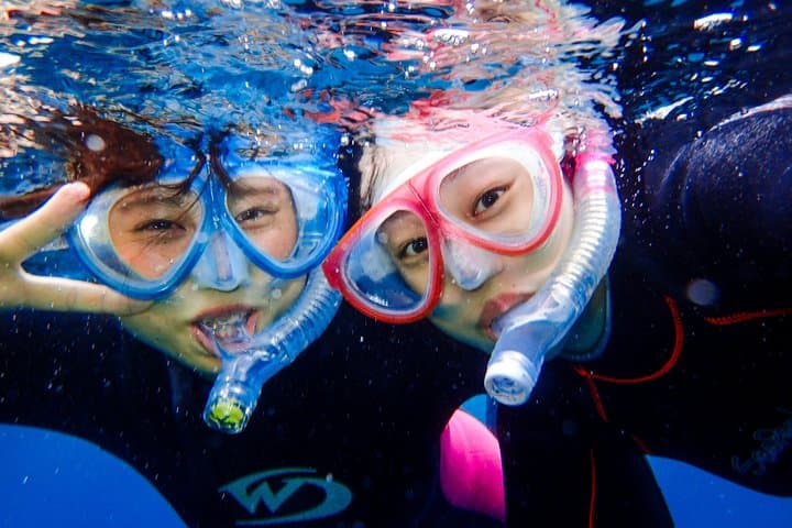 Small Group Yakushima Snorkeling High Chance to See Turtles — photo 6
