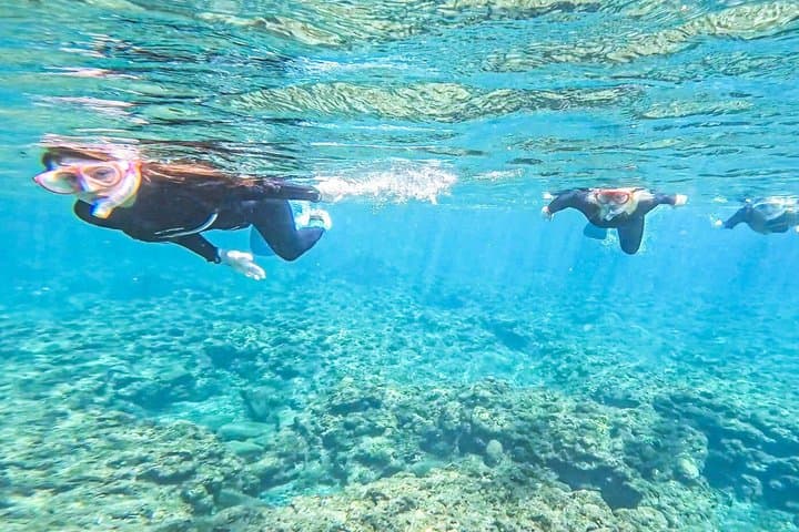Small Group Yakushima Snorkeling High Chance to See Turtles — photo 7