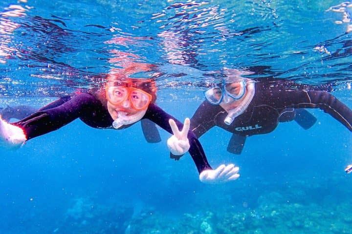 Small Group Yakushima Snorkeling High Chance to See Turtles — photo 9