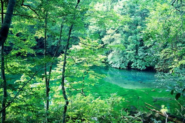 Hidden Gems:Art & Nature — photo 3