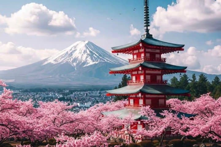 Mount Fuji Full Day Customize Private Tour With English Guide — photo 10