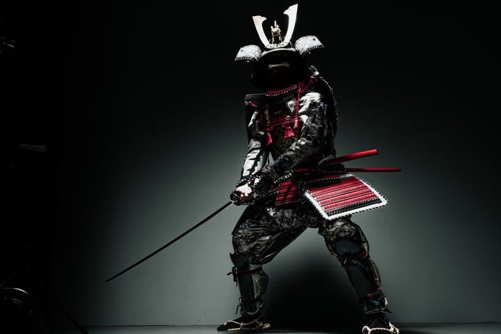 Kyoto Samurai Experience + Professional Photo Shoot — photo 3