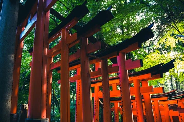 Kyoto Morning Tour Fushimi Inari Shrine and TeamLab Bio-Vortex — photo 7