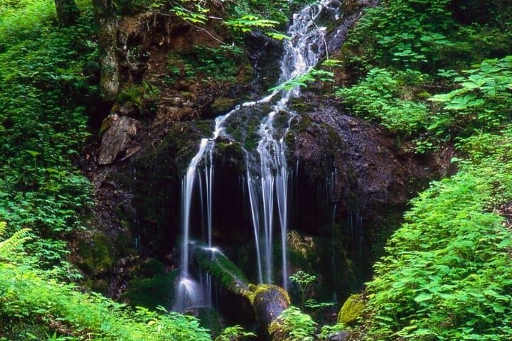 Shirahone＆Naraijuku,MatsumotoNagano,Private car tour,Spanishguide — photo 8
