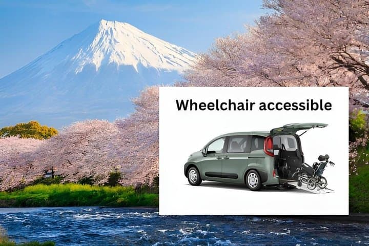Wheelchair Accessible Mount Fuji & Hakone 1-Day Private Van Tour