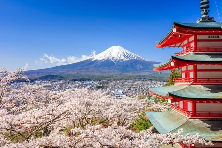 Wheelchair Accessible Mount Fuji & Hakone 1-Day Private Van Tour — photo 4
