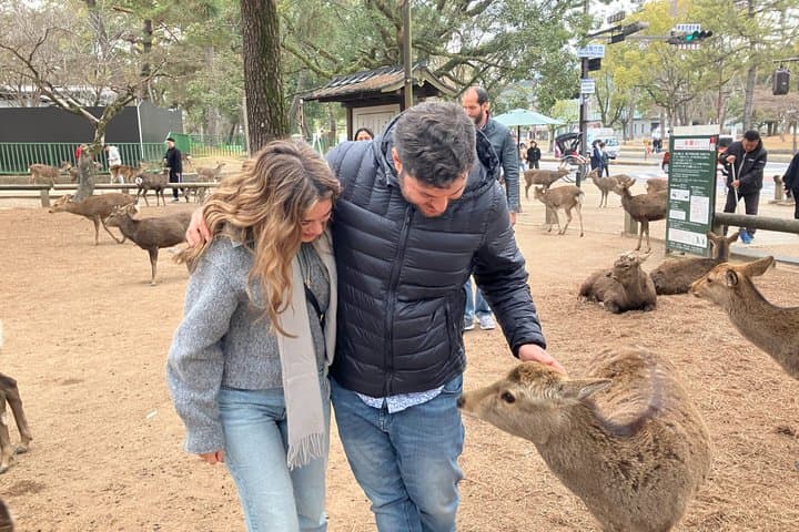 Nara Tour Experience Temples Park — photo 2