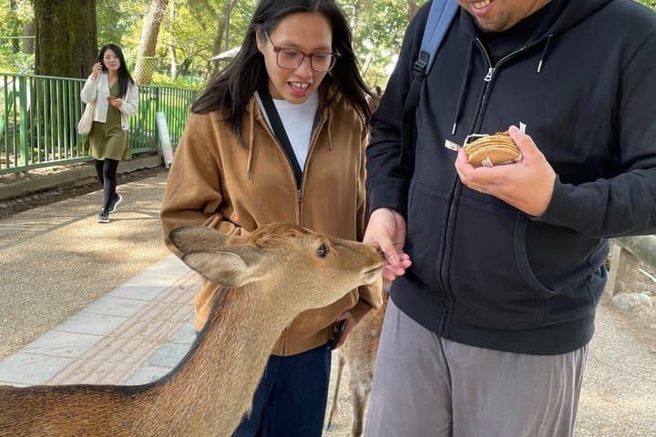 Nara Tour Experience Temples Park — photo 4
