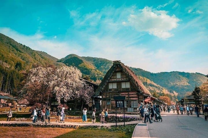 Hakodate Full Day Customized Tour with Local Guide by Private Car