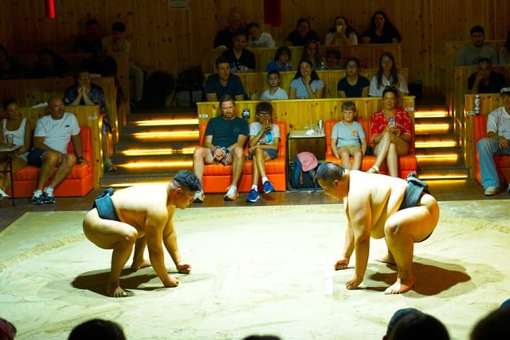 Tokyo: Sumo Entertainment Show with Chicken Hot Pot & Geisha — photo 12