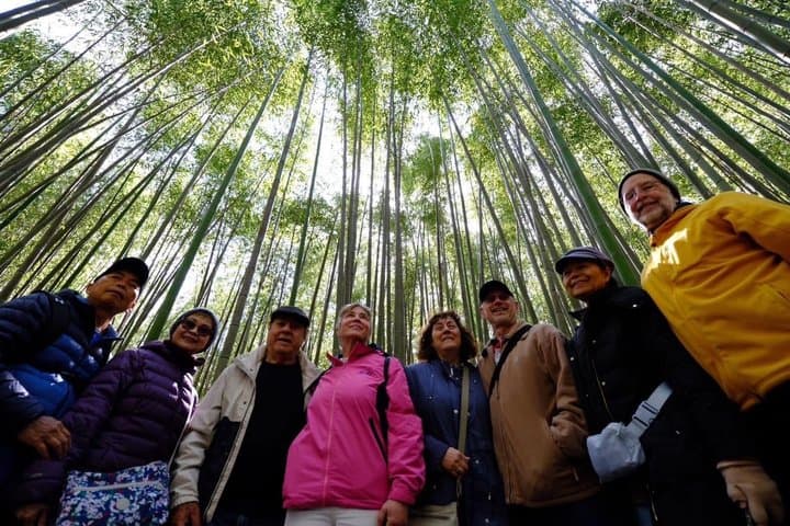 Kyoto First-Time Visitor Private & Personalized Walking Tour — photo 1