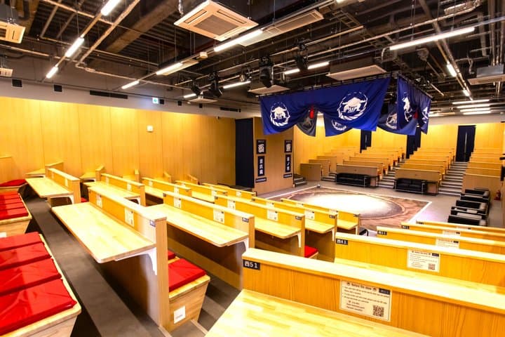 Kyoto: Sumo Entertainment Show with Chicken Hot Pot & Geisha — photo 12