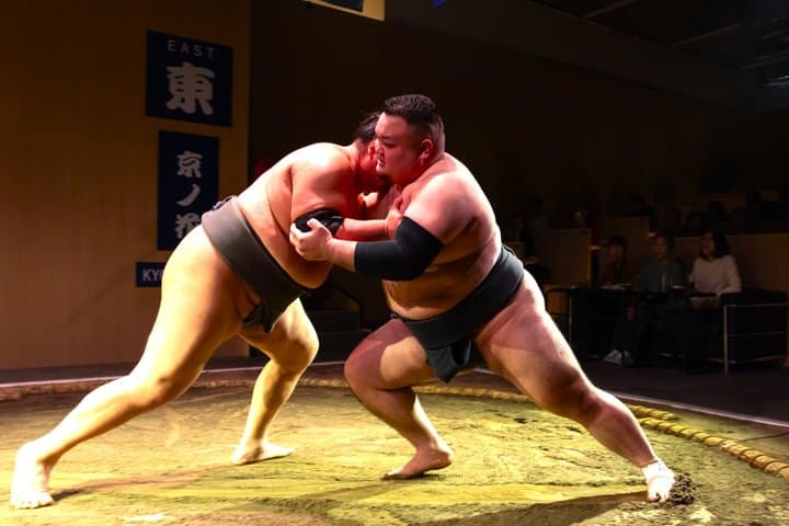 Kyoto: Sumo Entertainment Show with Chicken Hot Pot & Geisha — photo 3