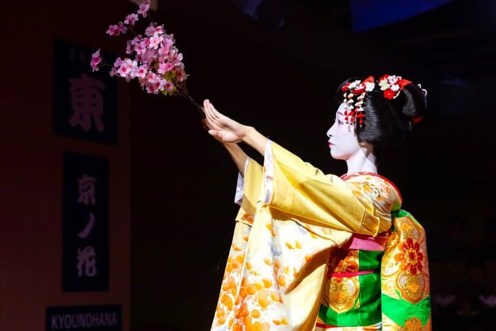 Kyoto: Sumo Entertainment Show with Chicken Hot Pot & Geisha — photo 6