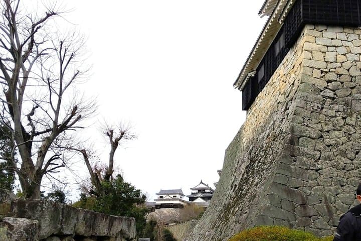 Matsuyama Castle Stroll and Making Auspicious Sweets — photo 8