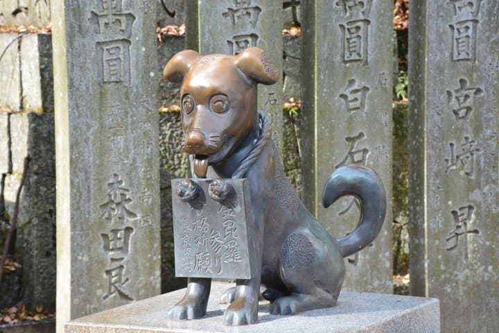 Kagawa: Konpira Pilgrimage Walk with Optional Extended Pilgrimage — photo 4
