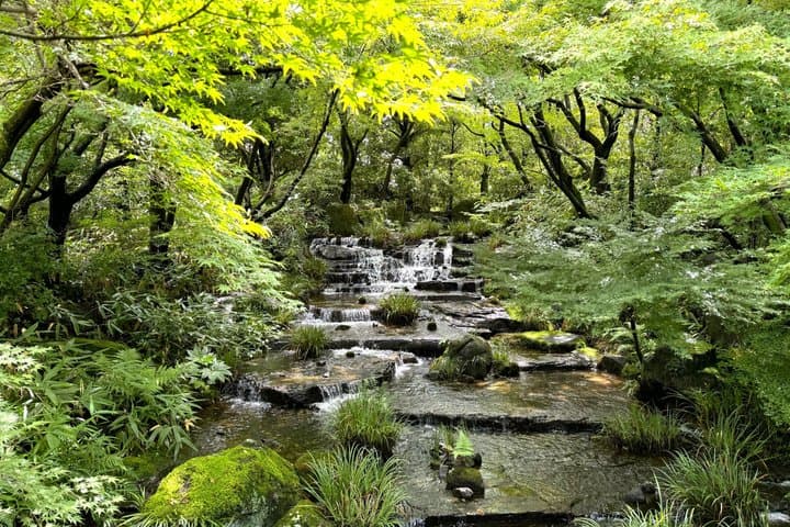 UNESCO's Himeji Castle and Kokoen Garden Guided Tour — photo 3