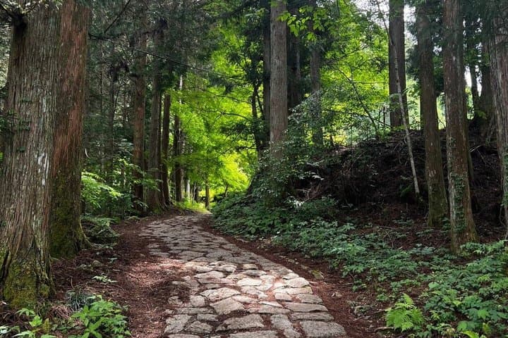 Magome to Tsumago Hiking Tour from Nagoya — photo 7