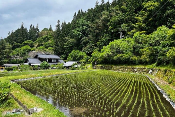 Magome to Tsumago Hiking Tour from Nagoya — photo 6