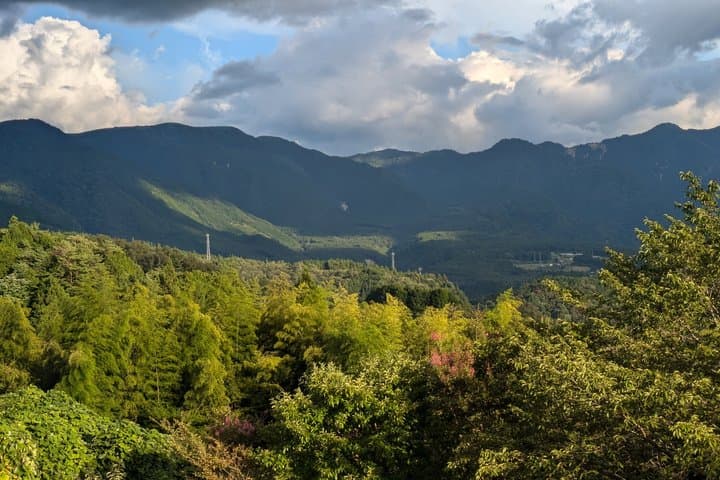 Magome to Tsumago Hiking Tour from Nagoya — photo 8