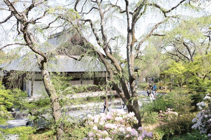 Kyoto E-Bike Tour of Palace, Castle, Temples and Hidden Gems — photo 1