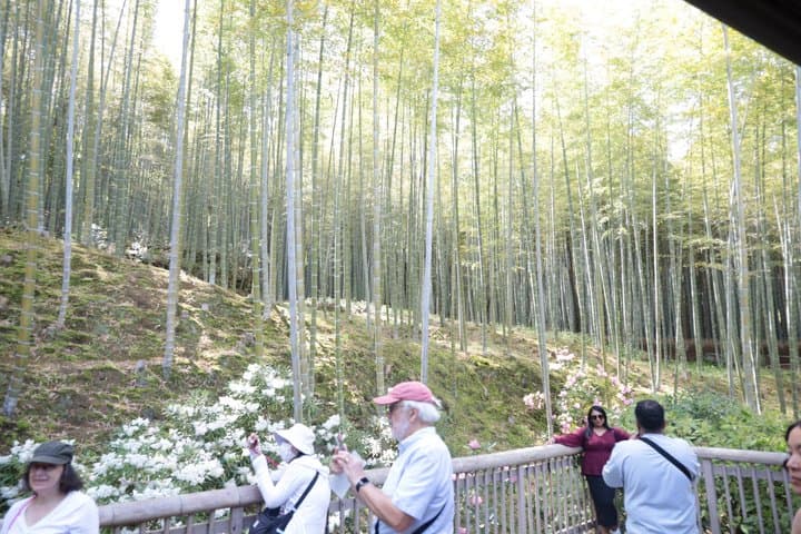 Kyoto E-Bike Tour of Palace, Castle, Temples and Hidden Gems — photo 2