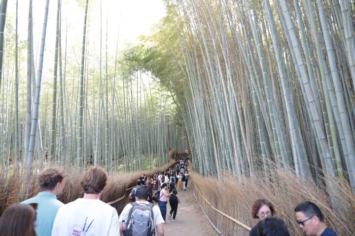 Kyoto E-Bike Tour of Palace, Castle, Temples and Hidden Gems — photo 3