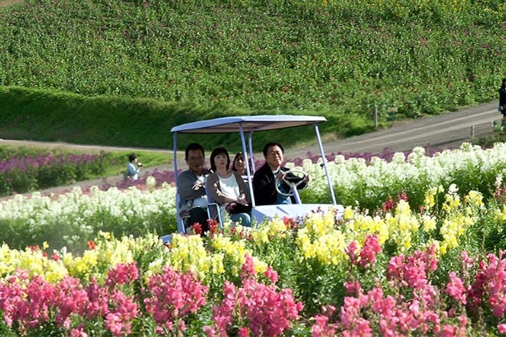 Private One Day Tour of Biei and Furano from Sapporo — photo 6