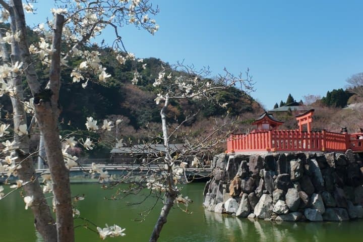 Osaka Half day E bike Katsuoji Temple and Luxury Hilltop Onsen — photo 16