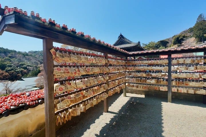 Osaka Half day E bike Katsuoji Temple and Luxury Hilltop Onsen — photo 8
