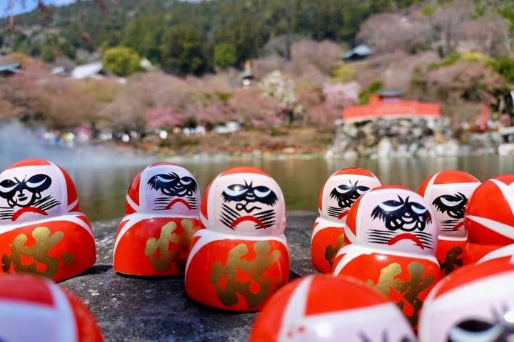 Osaka Half day E bike Katsuoji Temple and Luxury Hilltop Onsen — photo 9