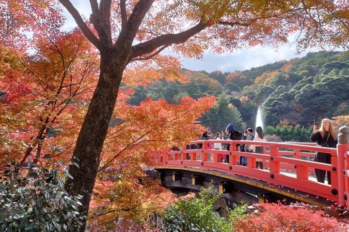 Osaka Half day E bike Katsuoji Temple and Luxury Hilltop Onsen — photo 17