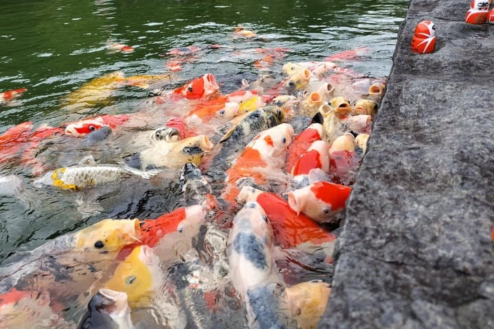 Osaka Half day E bike Katsuoji Temple and Luxury Hilltop Onsen — photo 19