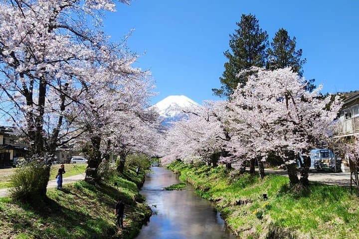Private Tour of Mount Fuji with English speaking driver — photo 13