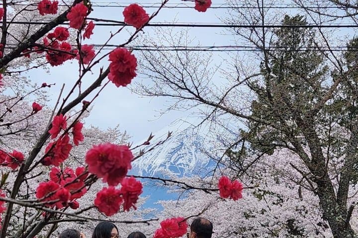 Private Tour of Mount Fuji with English speaking driver — photo 15