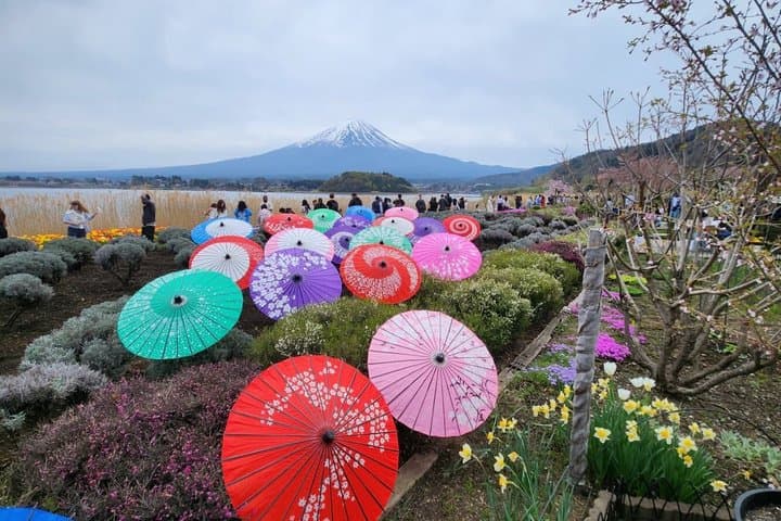 Private Tour of Mount Fuji with English speaking driver — photo 2