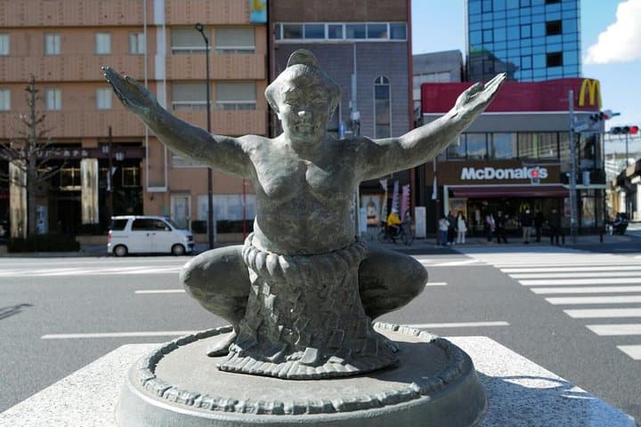 Tokyo Private 6 Hour Tour Sumo Show, Lunch and Local Guide — photo 2