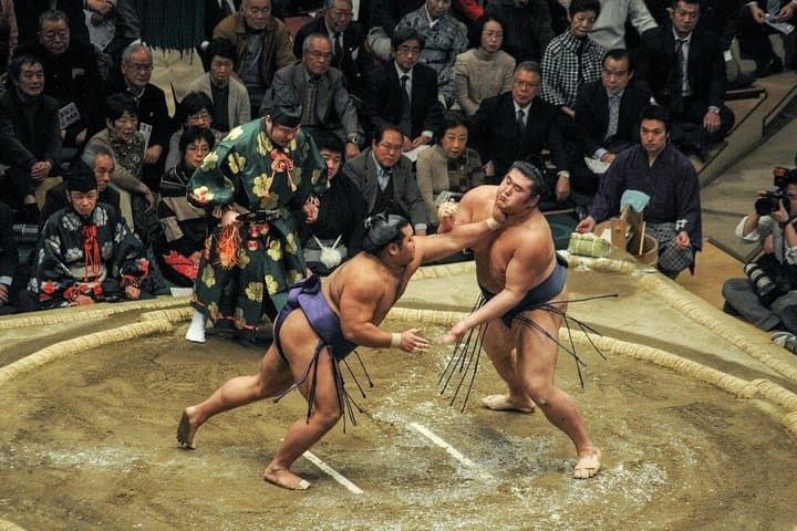 Tokyo Private 6 Hour Tour Sumo Show, Lunch and Local Guide — photo 4